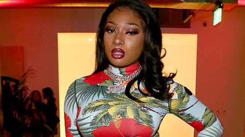 Megan Thee Stallion shooting could result in felony charges: prosecutors