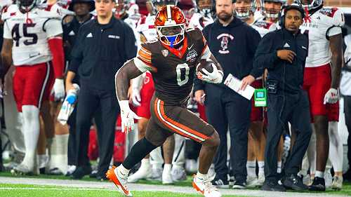 Record-setting TE Fannin declares for NFL draft