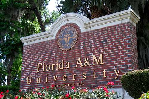 FAMU National Alumni Association Endorses Its COO As Next President