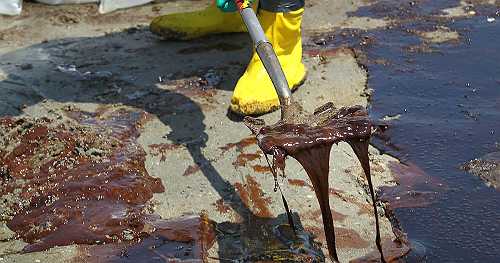 15 years after BP oil spill, marine recovery on Louisiana coast brings hope but not full trust