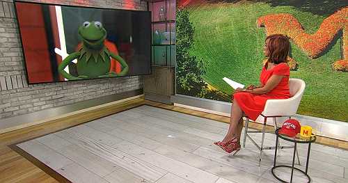 Kermit the Frog to deliver commencement speech at University of Maryland