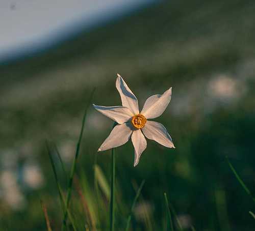 عالم السياحه • امحتوى متنوع اهلا وسهلا بكم
