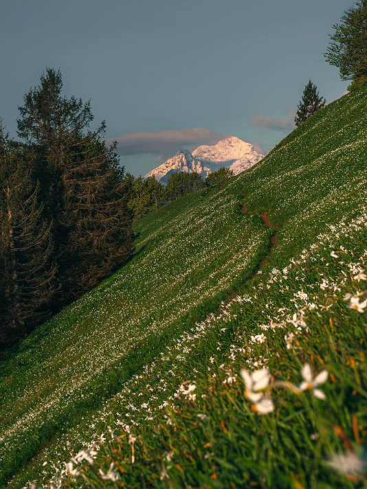 أنا لست منفتحاً مع كثير من الناس، ولا يعني الأمر أني...