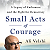 Book Suggestion: Small Acts of Courage:  A Legacy of Endurance and the Fight for Democracy