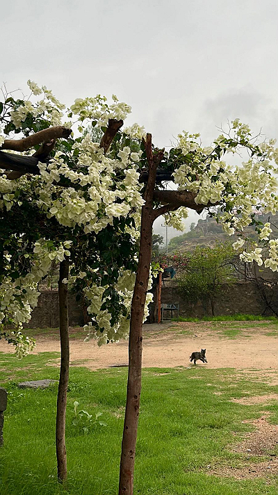 - وجودك يربكني ، ثم يطمئنني تمامًا 🤎.𝒚𝒐𝒖𝒓...