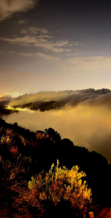 صائب الخيرمن آدّاب الصّباح ألّا تتّحّدث.