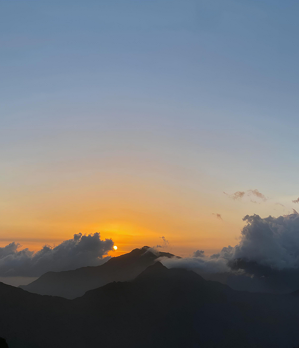 صباح الخير ، العلاقات التي تهتم بشعرك الخاص بشجرة...