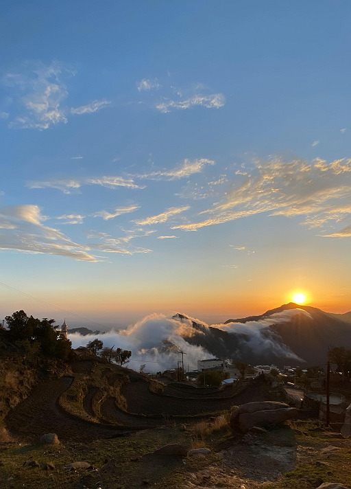 كُل قسوةٍ تنبع من الضعف.كل قسوة تنبع من الضعف.