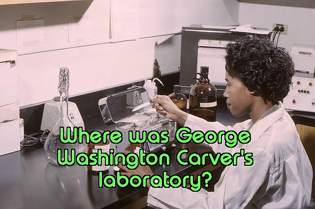 How Well Do You Know Blacks in Science