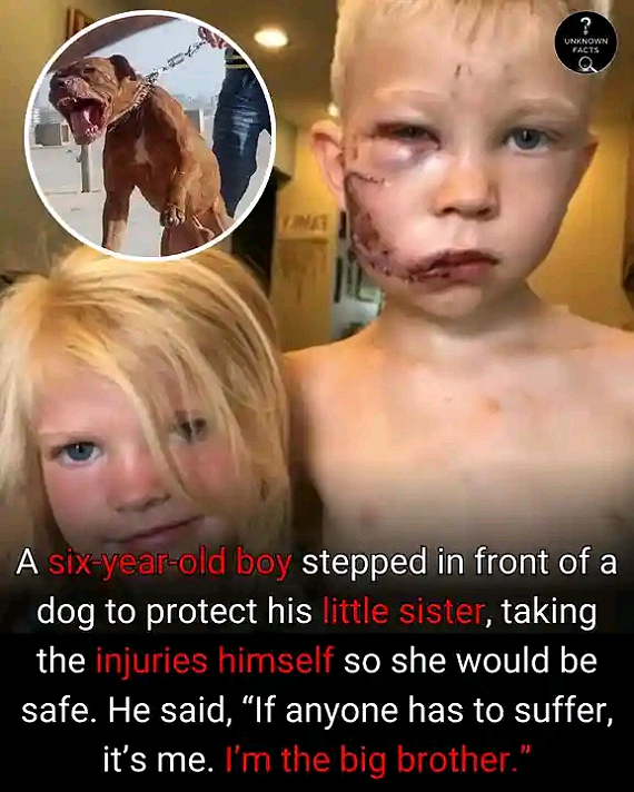 In 2020, a six-year-old boy named Bridger Walker became known around the world for his bravery. When...