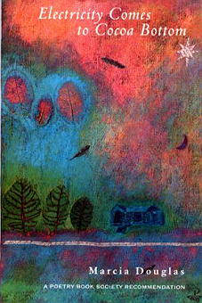 Electricity Comes To Cocoa Bottom